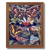Butterfly Butterflies Collage Kids Room Home Decor Wall Picture Oak Framed Art Print