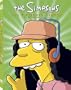 The Simpsons: The Fifteenth Season