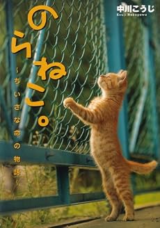 のらねこ。 -ちいさな命の物語-