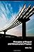 Principles of Project and Infrastructure Finance