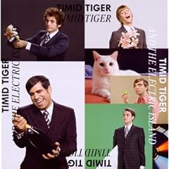 Timid Tiger and the Electric Island