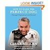 How to Raise the Perfect Dog: Through Puppyhood and Beyond
