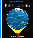 Let's Look at Fish Underwater (First Discovery/Torchlight) 画像