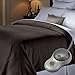 Sunbeam Heated Blanket | 10 Heat Settings, Quilted Fleece, Walnut, Twin - BSF9GTS-R470-13A00
