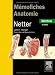 Memofiches Anatomie Netter: Membres