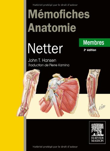 MémoFiches anatomie Netter Membres
