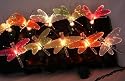 Fiber Optic~1 Set 10 Dragonfly~Wedding Garden String Lights~Indoor/Outdoor