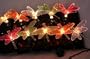 Fiber Optic~1 Set 10 Dragonfly~Wedding Garden String Lights~Indoor/Outdoor