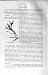 Antler Red Deer Ungulate Print Natural History 1894