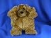 Plush Plumpee Cocker Spaniel 9