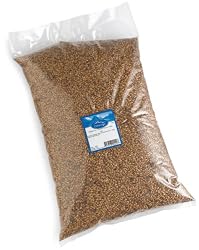 Coleridge Belgian Dark Caramel Munich Malt, 10-Pound Bag