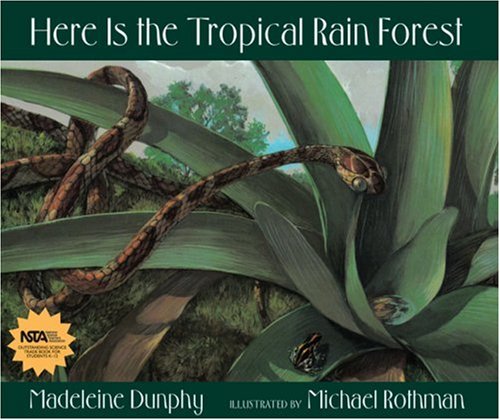 Here Is the Tropical Rain Forest (Web of Life)
