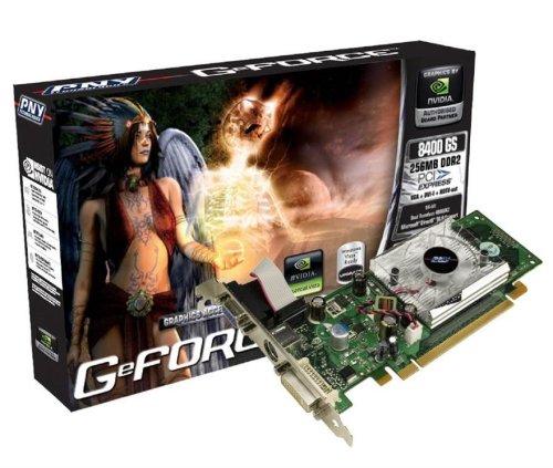 Childrens Toyshop  Electronics : PNY GeForce 8400 GS  PCI-E 256MB Verto Graphics Card