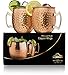 Xummit Stunning Hammered Moscow Mule Copper Mug / Cup with Golden-Hued Handle 18 Oz (Set of 2)