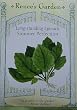 Spinach Summer Perfection Seeds 350 Seeds