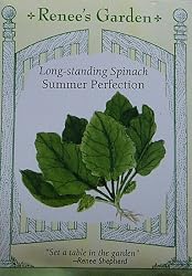 Spinach Summer Perfection Seeds 350 Seeds