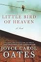 Little Bird of Heaven