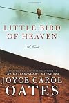 Little Bird of Heaven