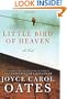 Little Bird of Heaven: A Novel