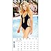 2015 Babes Wall Calendar Zebra Publishing Corp.