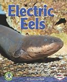 Electric Eels (Early Bird Nature)