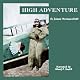 High Adventure: A Narrative of Air Fighting in France