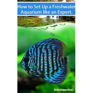 Freshwater Aquariums: How to Set Up One Like an Expert (Aquarium and Turtle Mastery Book 2)