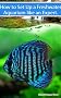 Freshwater Aquariums: How to Set Up One Like an Expert - The New Bestseller (Aquarium and Turtle Mastery)