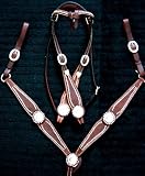 Dark Oil Wide Cheek Headstall Breast Collar Reins Horse Tack Set