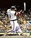 Greg Luzinski Autographed/Hand Signed Chicago White Sox 8x10 Photo