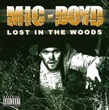 Lost In The Woods by 