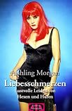 Liebesschmerzen Lustvolle Leiden von Hexen und Huren - Aishling Morgan