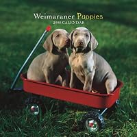 Weimaraner Puppies 2008 Mini Wall Calendar