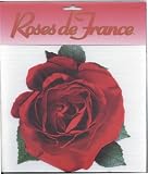 Sisson Imports Roses, Red, Pack of 100