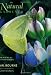 The Natural Gardener: The Way We All Want to Garden