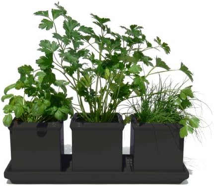 Plant Furniture 3003 Planter and Tray Set, Stone Black