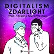 Zdarlight (Fedde le Grand & Deniz Koyu Remix) 