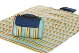 Picnic Plus Large Mega Mat Blue Berry Stripe 68