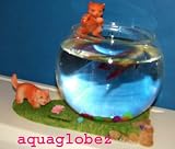 fish bowl Aquaglobez Unique Betta Fish Tank Aquarium Bowl Cat Tells