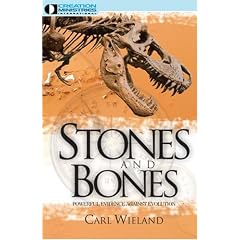 Stones and Bones