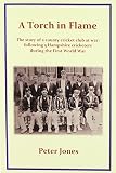 A torch in flame : the story of a county cricket club at war : following 5 Hampshire cricketers during the First World War