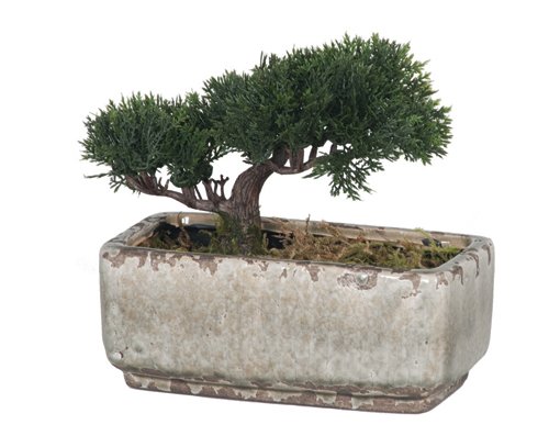Artificial Mini Cedar Bonsai, Crackle Grey