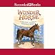 Wonder Horse