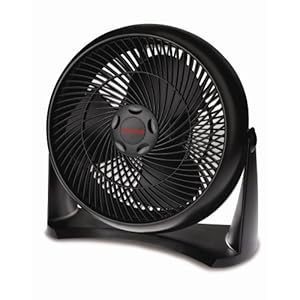 Most obnoxious and annoying fans