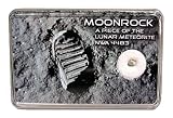 Echter Mond Meteorit NWA 4483, Groß