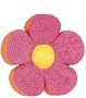 Color Me Flowers Pinata