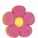 Color Me Flowers Pinata