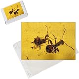 Photo Jigsaw Puzzle of SPH-94 Ants - embrdded in baltic amber. Upper Eocene from Ardea Wildlife Pets