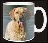 Review Advanta  / GOLDEN RETRIEVER in WATER Coffee Mug