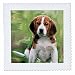 3dRose qs_4020_1 Beagle Puppy Quilt Square, 10 by 10-Inch